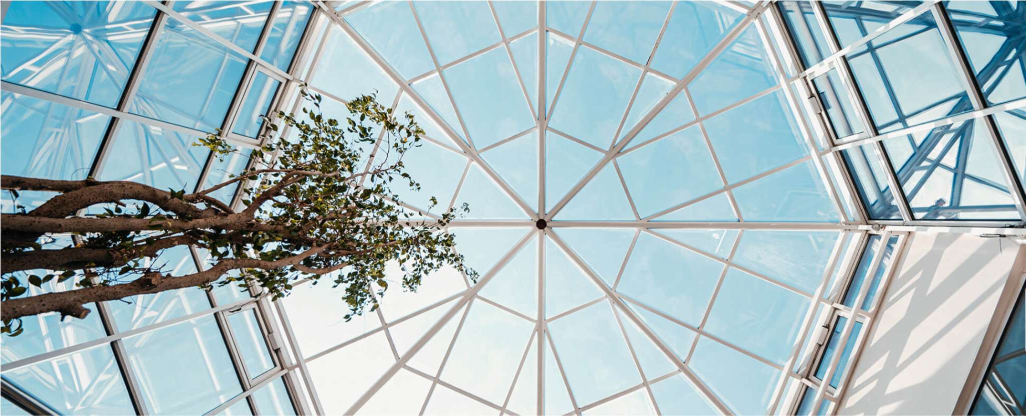 Glasdach Konstruktion als Terrassenüberdachung mit filigranem Rahmen und Blick zum Himmel